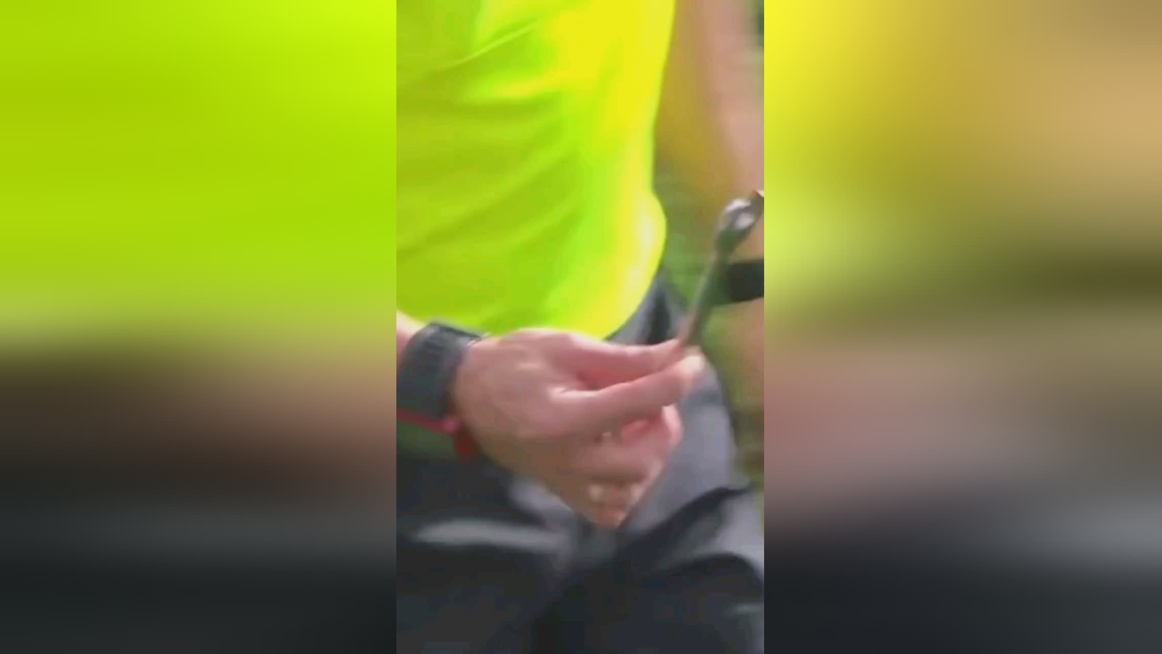 慎这也让费